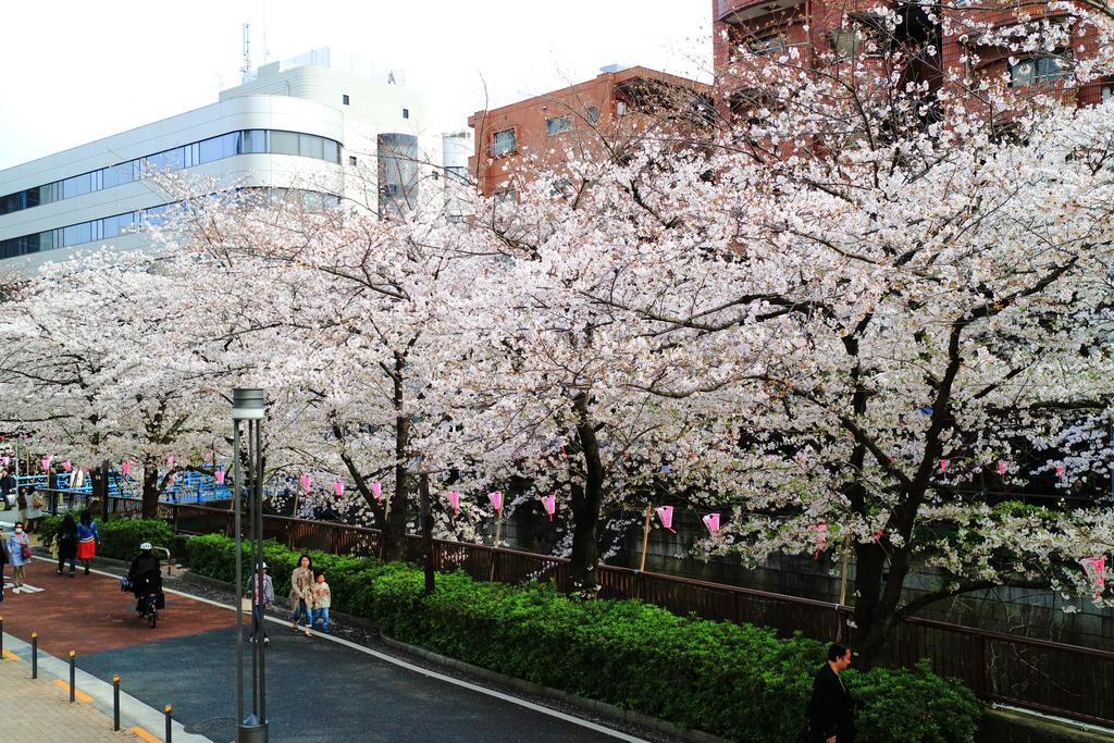 Coto Tokyo Shibuya Apartamento Exterior foto